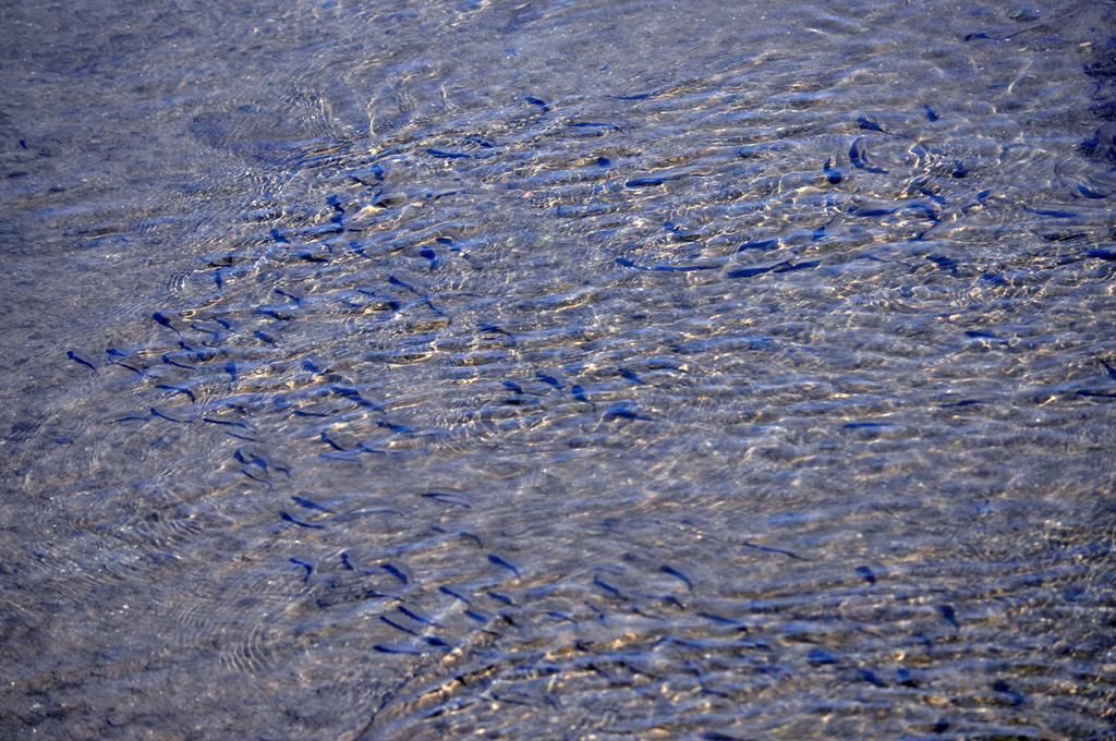 פוסטה Moinhos Das Mares מראה חיצוני תמונה